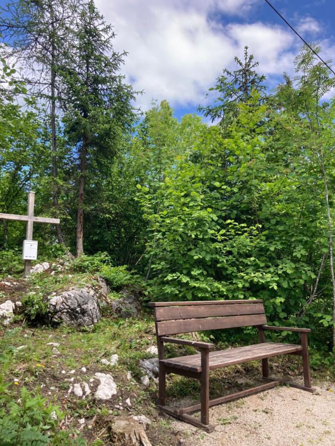 Das Schutzhaus-Bed And Breakfast-Dein Basislager Im Salzkammergut Bad Aussee Exteriér fotografie